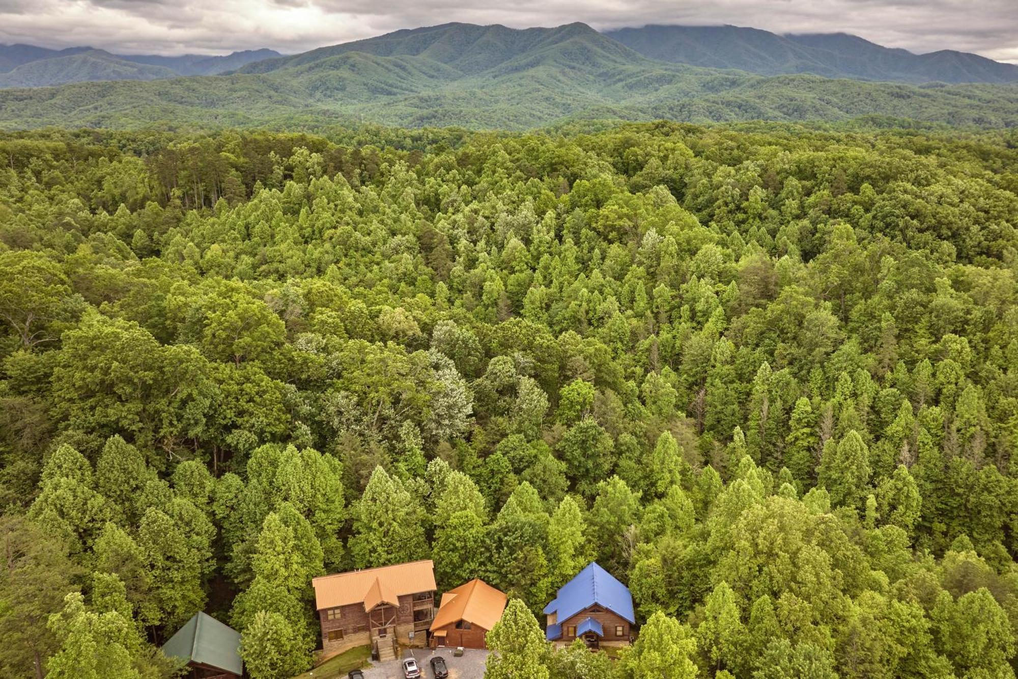 Chalet Damour Gatlinburg Εξωτερικό φωτογραφία